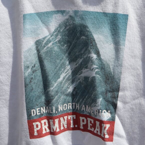 Denali Hoodie - Picture 2 of 7